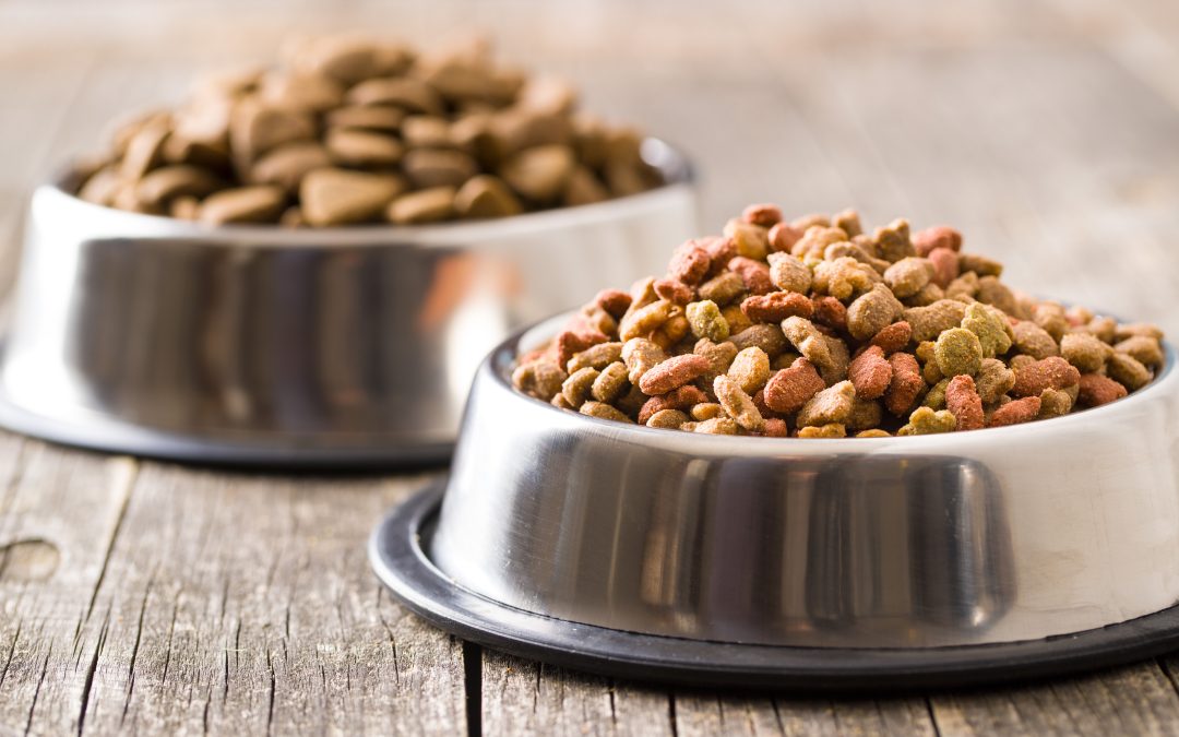 Pet Nutrition 101: A Guide to Choosing the Right Food for Your Pet