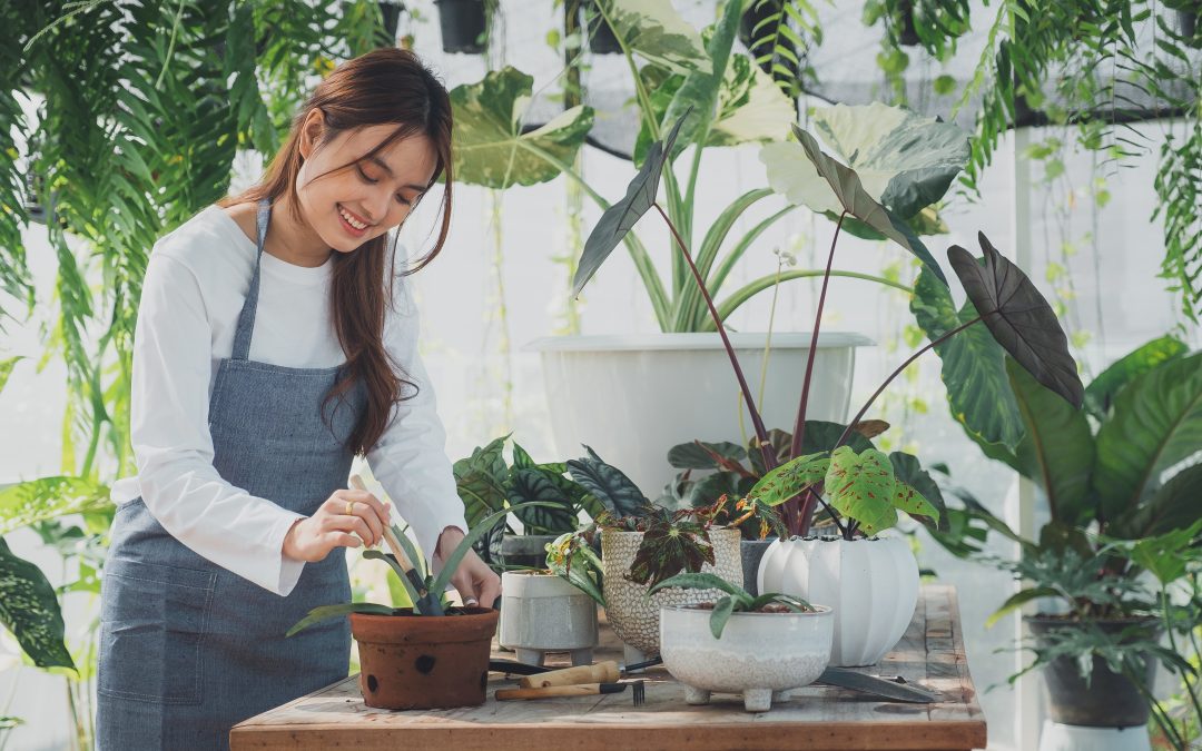 Bringing Nature Indoors: Integrating Natural Elements into Home Design